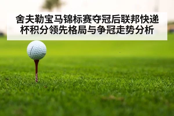 golf tournament leaderboard