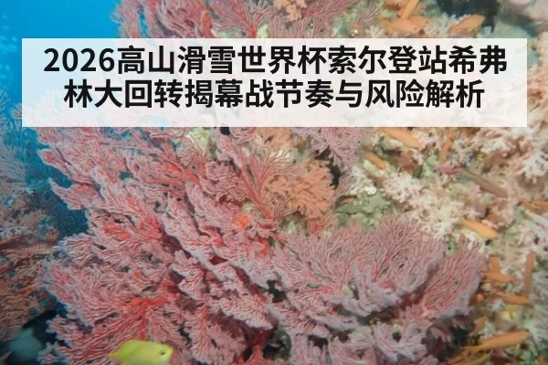 2026高山滑雪世界杯索尔登站希弗林大回转揭幕战节奏与风险解析